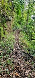 Plants: image 18 Of 208 Thumb